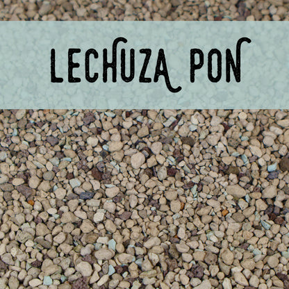 Pon, Lechuza