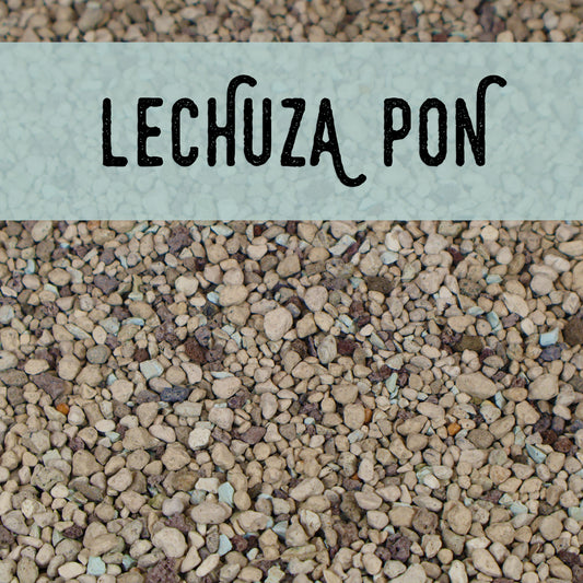 Pon, Lechuza