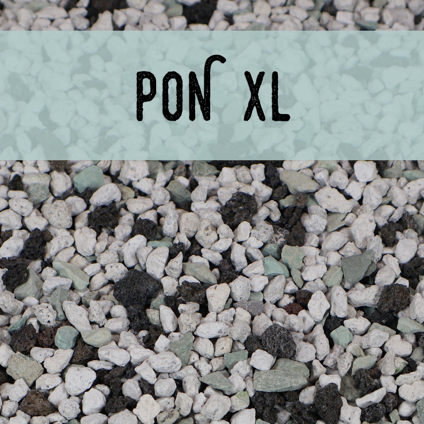 Pon, XL