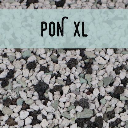 Pon, XL
