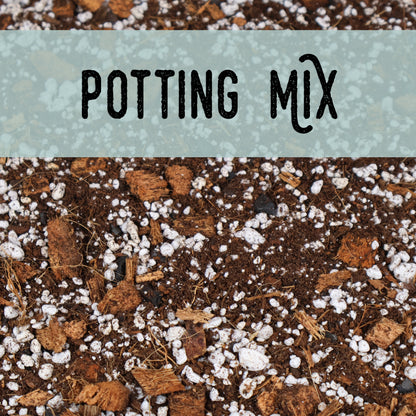 Potting Mix