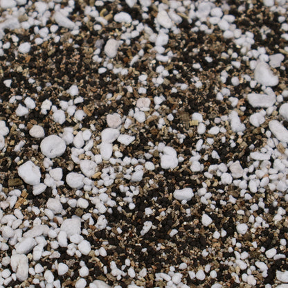 Mezcla de hélice (semihidráulica)