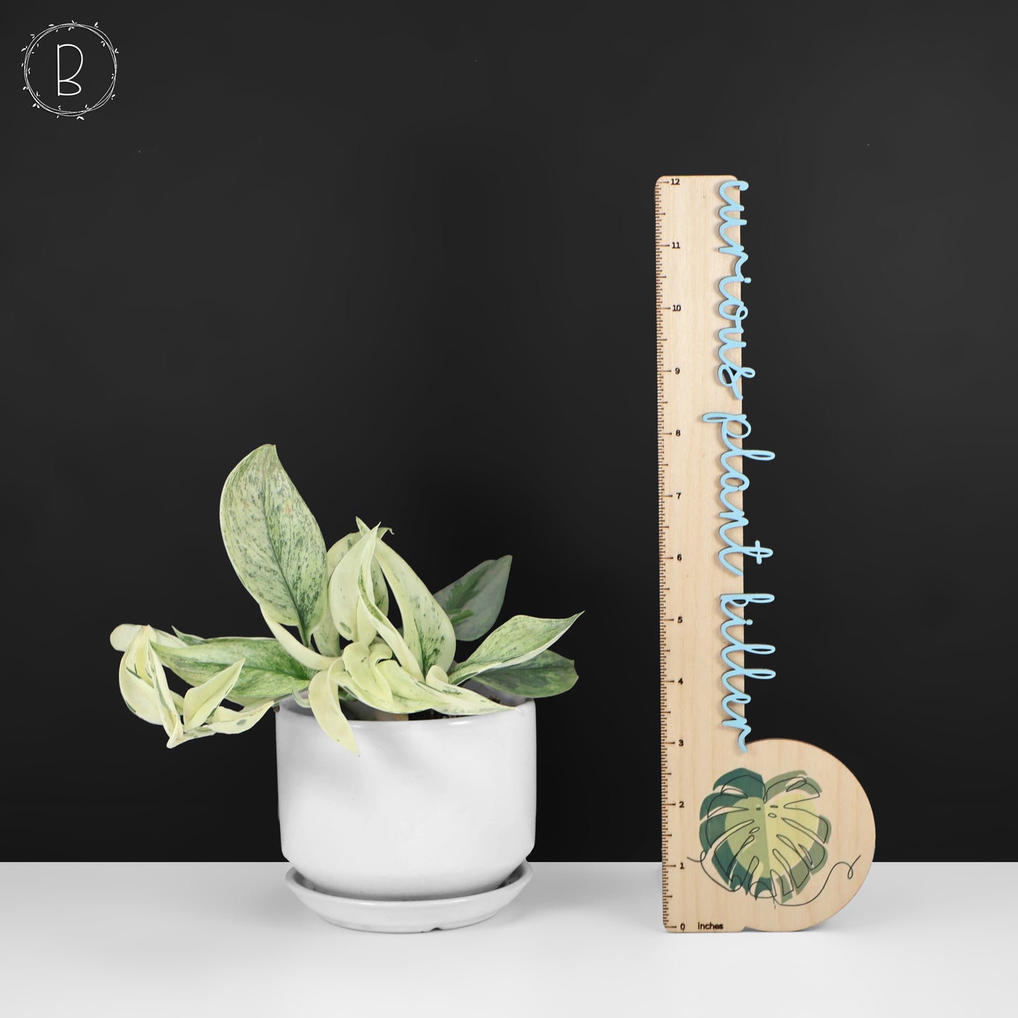 Mutación superestrella de Scindapsus