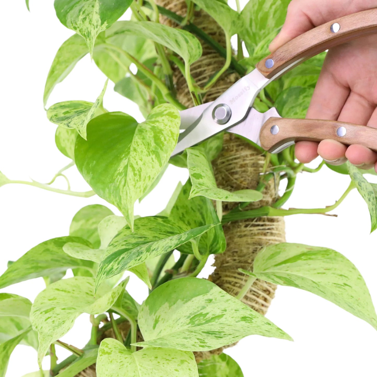 Garden Utility Shears (Slim)