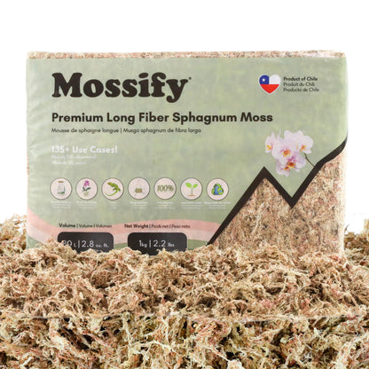 Premium Sphagnum Moss (1kg)