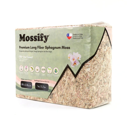Premium Sphagnum Moss (1kg)