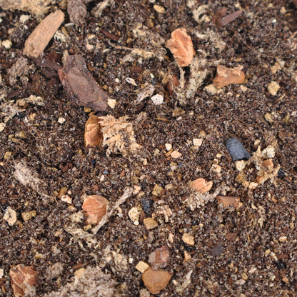 Mezcla para terrarios