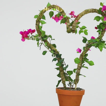 Mossify's Thin Bendable Moss Pole™ (3 Pack)